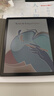 掌阅（iReader） Ocean 4C 7英寸彩色墨水屏 电子书阅读器 便携阅读电纸书 手写电子笔记本 深夜黑笔挂套装 实拍图