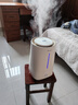 格力（GREE）加湿器 4L大容量孕妇母婴 低噪大雾量加湿办公室家用卧室床头桌面香薰空调房加湿器礼物(40X66) 实拍图