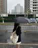爆款晴雨伞手动UV折叠黑胶防晒防外线遮阳晴雨两用伞 【手动款8骨】藏青UV 实拍图