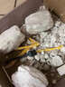 帕卡洛恐龙化石考古挖掘玩具二年级科学石膏骨架模型套装3-6岁8生日礼物 恐龙套餐A【霸王龙+棘龙+雷龙+三角龙】 实拍图