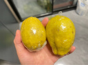 广东香水黄柠檬包邮新鲜水果柠檬精选皮薄奶茶店专用整箱 现货 柠檬两粒单果50g+ 实拍图