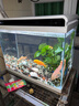 森森（SUNSUN）鱼缸水族箱客厅家用生态桌面金鱼缸免换水懒人鱼缸一体缸自循环 HE-600内置棉和滤材（物流发货） 实拍图