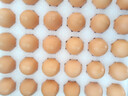 兰皇无菌蛋omega-3营养型新鲜鸡蛋类可生吃食用糖溏心蛋温泉蛋礼盒装 30枚 实拍图