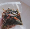 达派（dapai）德国真空封口机家用商用干湿两用全自动抽真空包装真空食品保鲜机塑封机抽腊肉真空封口 店长推荐【干湿两用】下单享袋子 实拍图