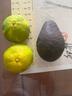 鲜级佳秘鲁进口牛油果鳄梨新鲜水果微催熟爽滑细腻宝宝辅食单果水果当季 全家畅享 101-140g 【8个装】 实拍图