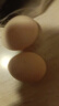 京喜加 鲜鸡蛋 土鸡蛋  五谷喂养 山林自养鸡蛋溏心蛋早餐京东包邮40g 2枚 40g左右 实拍图