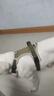 嬉皮狗狗狗牵引绳大型犬胸背带背心式防爆冲遛狗绳子 L码 建议29-45斤 实拍图