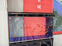 森森（SUNSUN）大型鱼缸底过滤水族箱客厅家用落地玻璃生态金鱼缸 超白款升级底滤 1.2米长35cm宽（黑白可选） 实拍图