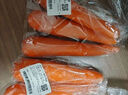 胡萝卜约600g 实拍图