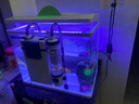 森森（SUNSUN）鱼缸过滤器壁挂过滤桶外挂式净水循环系统 【鱼便收集】6W过滤器+滤材+硝化菌+排污管 实拍图