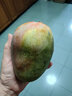 京鲜生 攀枝花凯特芒果 净重4.5斤 单果700g 生鲜水果 源头直发 实拍图