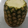 正宗海南金钻凤梨新鲜水果当季树上熟芒果凤梨【催熟食用】 中果1.3-1.7斤3-4个净重4.5斤 实拍图
