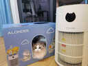 欧朗德斯欧朗德斯宠物空气净化器吸附猫毛细菌过敏源除甲醛雾霾杀菌消毒异味净化机 【宠物家庭专属】C5MAX 实拍图