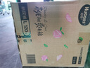 好奇（Huggies）铂金装小桃裤纸尿裤L120片(9-14kg)大号尿不湿【透爽散热】 实拍图