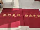 尚尼秀高档电梯间内轿厢商用地毯定制高档酒店迎宾地垫星期脚垫-1平方 实拍图