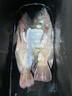 达亿瓦（DAIWA）一击 轻量鲤鱼鲫鱼草鱼罗非 进口鱼竿手杆 轻硬挺 休闲台钓 3.9m 一击P 5H-39.K（黑坑） 不支持使用/试用后退换货 实拍图