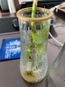 透明玻璃深海花瓶ins风植物干花插花水培大容器台面装饰客厅摆件 透明描边竖条纹(20*6*9) 1个装 实拍图