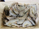 禧美海产  白对虾 无冰净重400g/盒 22-27只 盐冻锁鲜 烧烤 海鲜水产 实拍图