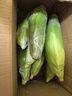 云南高原新鲜水果玉米起脆甜爆浆可生吃现采现发300g/棒营养早餐 水果玉米9斤 净重 实拍图