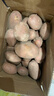 内蒙红皮大土豆新鲜黄心土豆现挖洋芋地蛋马铃薯粉面火锅批发 红皮土豆大果 9斤 【单果150g+】 实拍图