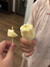 美登高小矮人冰淇淋 香草口味360g/盒 牛奶雪糕冰激凌冷饮 实拍图
