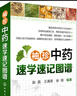 袖珍中药速学速记图谱（全彩印刷，秒记鉴别特征） 实拍图