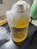金龙鱼 食用油【保真菜籽油】精炼一级 菜籽油5L（新老包装随机发货） 实拍图