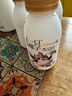 光明 一只椰子 牛乳饮品牛奶 250ml*4瓶 实拍图