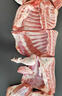 谷开元宁夏滩羊肉10斤礼盒 原切生鲜羊肉羊腿羊排火锅烧烤食材 源头直发 实拍图