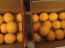 京鲜生 当季鲜橙 净重6斤装 钻石果 单果200g起  生鲜水果橙子礼盒 实拍图