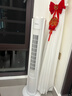 美的（Midea）电风扇家用 无叶塔扇立式落地风扇客厅卧室轻音节能定时摇头循环大风力电扇落地扇 【柔风轻音 性价比首选】ZAH09MS 实拍图