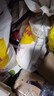 金龙鱼 面粉 高筋粉 高筋麦芯小麦粉 10斤 家用包子饺子馒头饼手擀面 实拍图