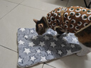 HELLOJOY狗垫子狗窝冬季保暖猫垫子宠物冬加厚猫窝睡觉用毛毯猫咪狗狗睡垫 实拍图