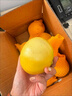 粤迎福建黄金葡萄柚新鲜水果当季黄心蜜柚甜西柚整箱包邮香甜榨汁 9斤精选果【爆甜爆汁】净8.5斤 实拍图