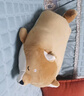 名创优品（MINISO）文具君系列趴趴抱枕睡眠靠枕毛绒玩偶公仔生日礼物 布丁君 实拍图