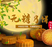 阿尔发无糖月饼糖尿病人木糖醇月饼中秋节散装广式月饼五仁豆沙莲蓉蛋黄 无糖月饼12块-12口味各1块 实拍图