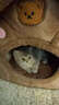茨格曼狗狗窝冬季猫窝封闭式狗房子小型犬室内猫咪窝保暖狗屋猫屋宠物窝 M号-建议10斤内宠物 实拍图