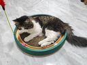 疯狂的主人 猫抓板窝超大号圆形不掉屑耐磨一体猫窝磨爪猫咪玩具 实拍图