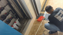 GOOTHO大白瓶前置过滤器 全屋家用自来水过滤净水器大通量大蓝瓶中央过滤通用滤芯除余氯阻垢 10寸双联增强除氯【PP+PCP】 实拍图
