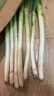 京鲜生山东正宗铁杆大葱净重3斤脆嫩佐料辅餐源头直发包邮 实拍图