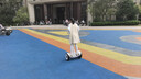 九号（Ninebot）电动平衡车小九米Mini成年人电动车代步腿控智能两轮大人非燃动版Plus长续航 实拍图