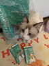 凯锐思英短猫粮专用蓝猫幼猫成猫深海鱼鱼肉猫食天然粮 【经典款】英短4.2斤 实拍图