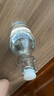 喜碧（Scybe）泡酒容器空瓶泡酒专用瓶青梅酒果汁存储瓶密封酒瓶温顿500ml 2只 实拍图