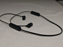 JBL TUNE 135BT蓝牙无线耳机 颈挂式运动耳机 无线立体声耳机 黑色 实拍图