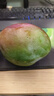 【双11抢购】玉芒芒果新鲜水果应当季生鲜 带箱1斤 中果【单果140-00g】 实拍图