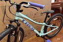 崔克（TREK）PRECALIBER 24英寸轻便缓震双手刹8速山地越野儿童自行车直邮到家 夏威夷绿色（身高130-150CM） 8速 实拍图