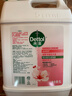 滴露（Dettol）洗手液补充装大桶消毒滋润5L 儿童家庭装杀菌护手 实拍图