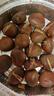 亨迅丹东板栗新鲜生栗子2025年生板栗应季时令蔬菜 5斤 精选装 净重4.5斤 实拍图