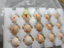 密农人家新鲜土鸡蛋 正宗农家土鸡蛋 生鲜鸡蛋 柴鸡蛋农家笨鸡蛋包邮 60枚 实拍图