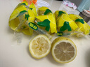 畅果汇四川安岳黄柠檬新鲜水果皮薄当季整箱精选快递随机柠檬孕妇补维C 130-160g 中大果（性价比高） 2斤 实拍图